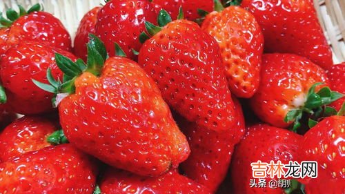 草莓成熟需要吃掉一个蚯蚓吗,草莓一生长就会死一两个蚯蚓是不是？