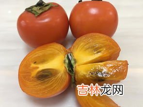 柿子和柿饼的区别,柿子和柿饼哪个更性寒？