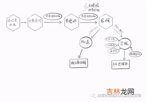 印度非布司他效果好吗,印度非布司他疗效怎么样