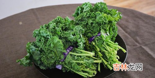 橄榄菜营养价值高吗,橄榄菜是一种特别好吃的风味小菜，你知道橄榄菜有什么营养价值吗?