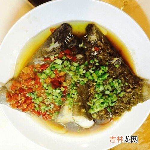 鲽鱼是什么鱼,鲽鱼是什么鱼