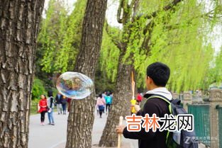 春天的寓意和象征,春天的寓意象征