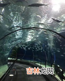 四大洋五大洲是哪些,五大洲四大洋是哪些国家