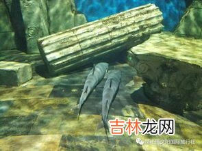 四大洋五大洲是哪些,五大洲四大洋是哪些国家
