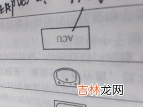 口取纸为什么叫口取纸,小标签纸为什么叫口取纸？