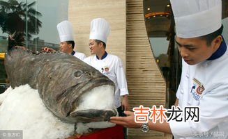 电鳗是雌雄同体吗,电鳗是什么动物?