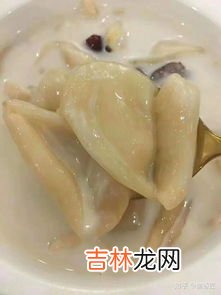 鱼肚是什么,鱼肚是什么