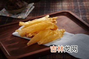 鱼肚是什么,鱼肚是什么