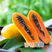 木瓜发苦能吃吗,木瓜发苦是什么原因还能够吃吗？