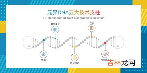 单链DNA是什么意思,一个dna分子是几条链啊，为什么这个题说有单链的dna