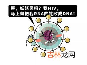 单链DNA是什么意思,一个dna分子是几条链啊，为什么这个题说有单链的dna