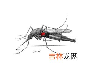 摇蚊咬人吗,南极的蚊子没翅膀也不咬人，这里的蚊子是怎么变成这样的？