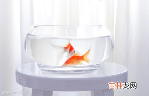 为什么开空调要放一盆水,开空调时在房间放一盆水有什么作用？