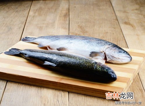 10分钟冻鱼快速解冻法是什么,10分钟冻鱼快速解冻法是什么