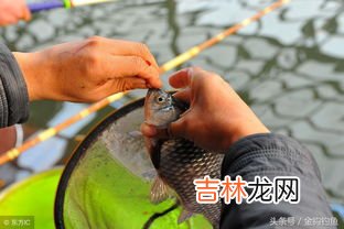 钓鱼什么叫下风口,钓鱼钓下风口是什么意思？
