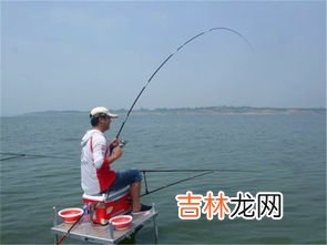 钓鱼什么叫下风口,钓鱼钓下风口是什么意思？