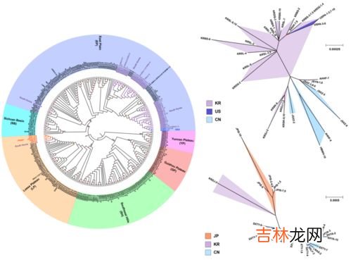 九连环的起源和历史,九连环的来源？