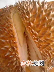 整个榴莲怎么保存,能放几天,榴莲放冰箱可以放几天