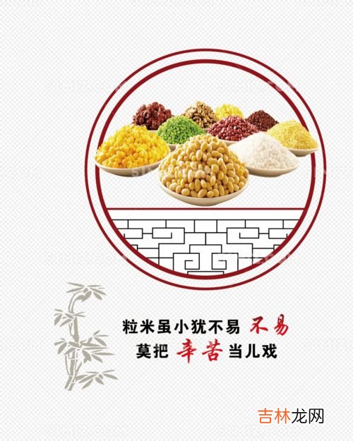 中国每年仅餐饮浪费粮食可以养活多少人,我国一天浪费粮食能喂饱多少人