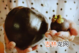 山竹坏了是什么样子的,山竹什么样子是烂掉的 怎么看山竹是否变质