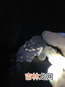 煤里有金色东西是什么,煤里面出现金色的东西是什么？