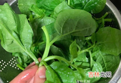 四川话软浆叶是什么菜,四川老家有一种软将叶的植物，书名是什么？