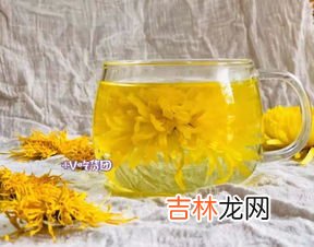 胎菊一次泡几朵,菊花茶一次泡几朵