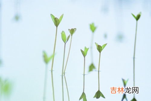 孟夏仲夏季夏的区别,我想问问孟夏是几月,孟夏是指几月