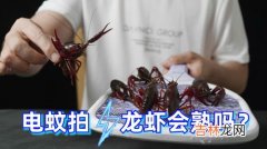 电蚊拍能电死蟑螂吗,电蚊拍会电死人吗