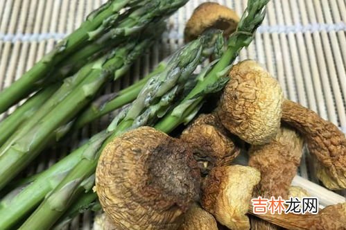 姬松茸芦笋压片糖果的功效,松茸和卢笋一起的功效是什么?