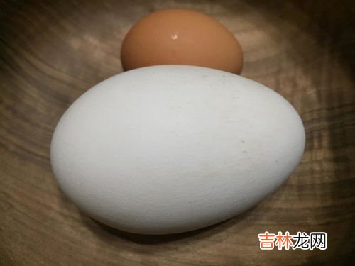 鹅蛋是什么,鹅蛋有什么营养?它有药用价值吗?