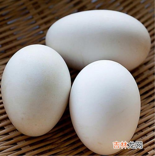 鹅蛋是什么,鹅蛋有什么营养?它有药用价值吗?