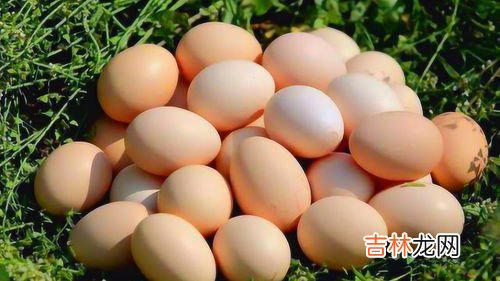 鹅蛋是什么,鹅蛋有什么营养?它有药用价值吗?