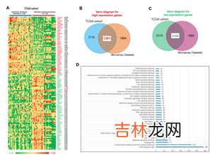 警号a开头是什么意思,警号前的字母