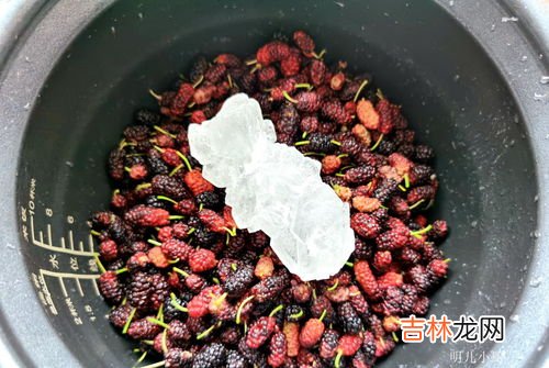 桑葚怎么冷冻保存,桑葚干如何存放？