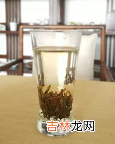 凤凰单丛茶什么时候喝,茶知识——凤凰单枞