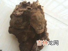 肉灵芝 肉灵芝价格,本人挖到一野生太岁，3斤左右，已在水里养了近四年，现在欲出售。什么