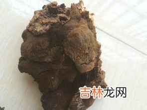 肉灵芝 肉灵芝价格,本人挖到一野生太岁，3斤左右，已在水里养了近四年，现在欲出售。什么价格？