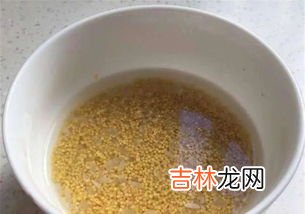 小米煮粥要泡吗?泡多久,小米粥需要泡一晚上吗