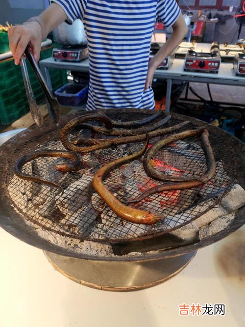 土龙跟黄鳝的区别,鳝鱼共分几种？各种类鳝鱼的名称及主要生活地域？