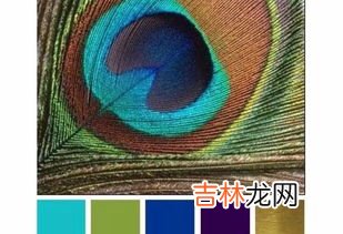 孔雀蓝是什么颜色,孔雀蓝是什么颜色 孔雀蓝介绍