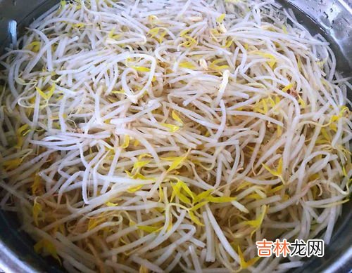 豆芽怎么保存隔夜,豆芽泡水里怎么保存 豆芽是否能在水里放一夜