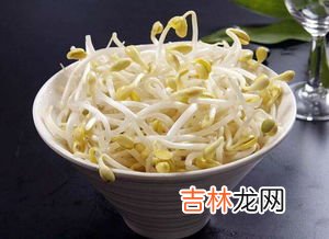 豆芽怎么保存隔夜,豆芽泡水里怎么保存 豆芽是否能在水里放一夜