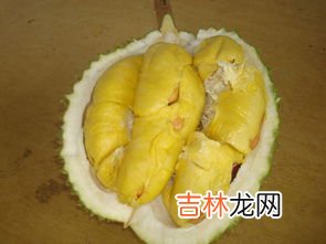 死包榴莲怎么辨别,榴莲死包和生包的区别
