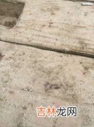 5一6度下水泥凝固时间,气温6到15度水泥凝固时间