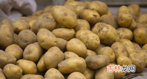 鲜土豆的储存方法,怎么样保存新鲜土豆？