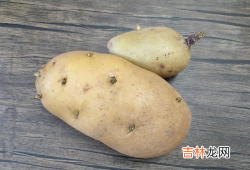 鲜土豆的储存方法,怎么样保存新鲜土豆？