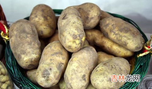鲜土豆的储存方法,怎么样保存新鲜土豆？