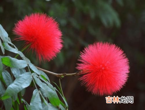 冬天的别称,冬季的别称