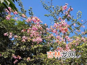 冬天的别称,冬季的别称